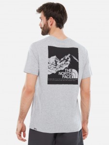 THE NORTH FACE GRAPHIC TEE LIGHT GREY