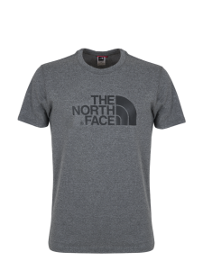 THE NORTH FACE EASY TEE ME GREY